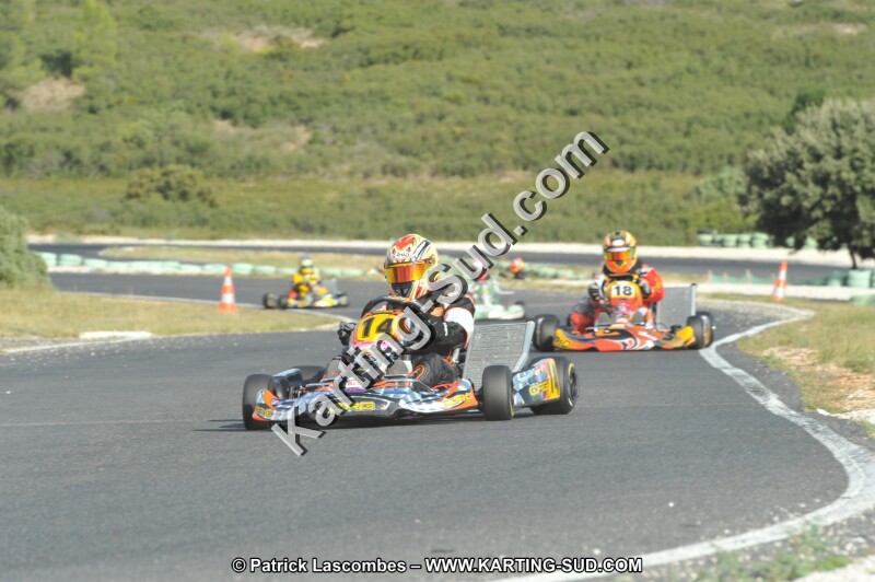 DSC (4059).JPG